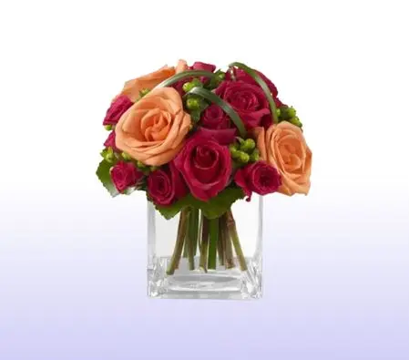 Roses and Hypericum