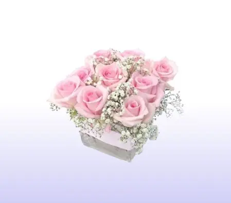 9 Pink Roses