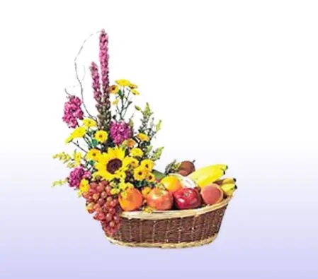 Carnation Spray